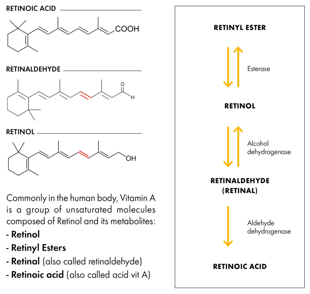 Retinol