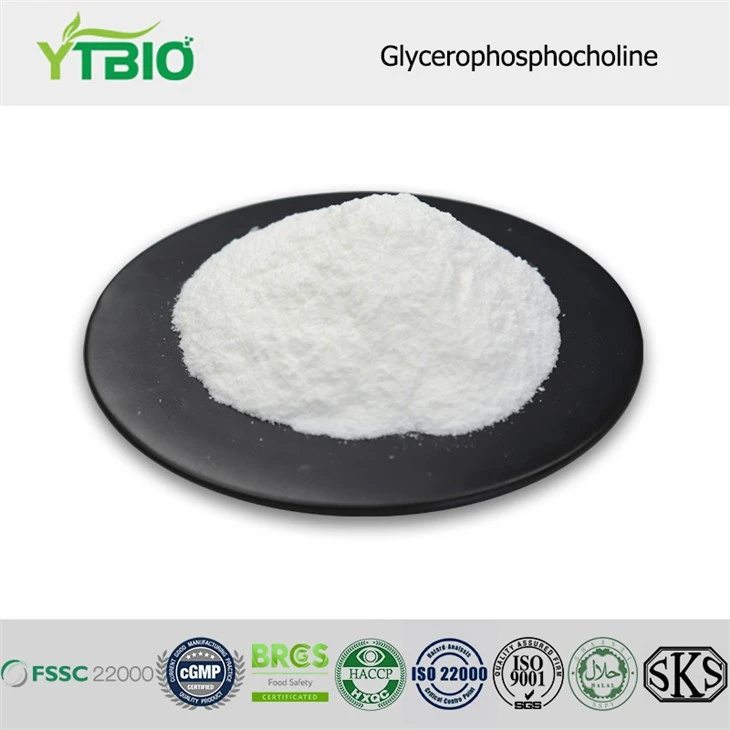 Glyserofosfoliini