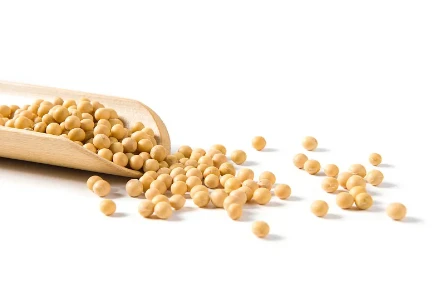 Soy Protein Fiberimage Powder